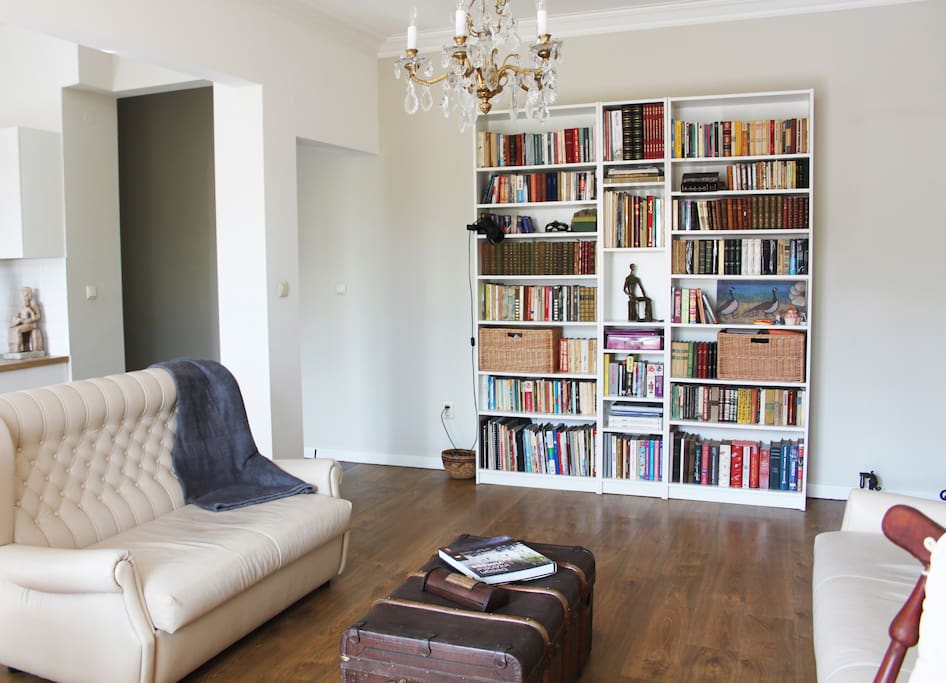 Living Room with Library