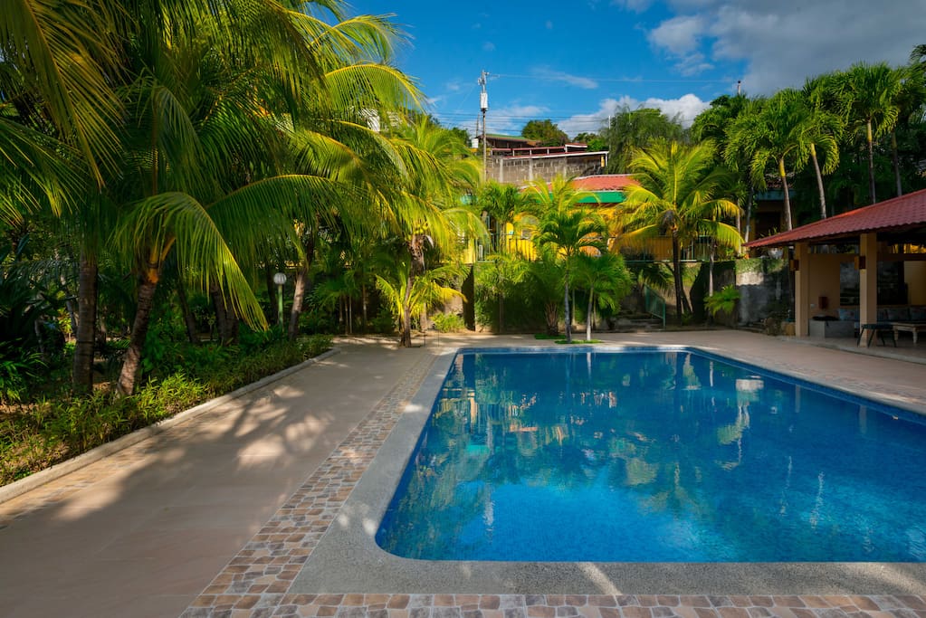 Time for a swim