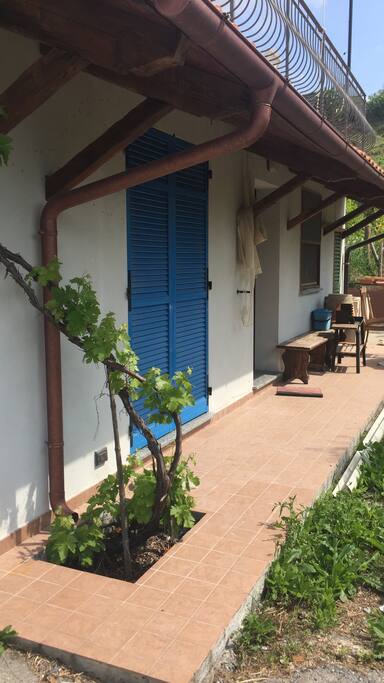 Portico antistante