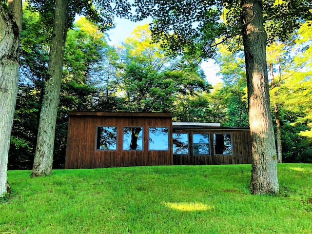 Ellicottville Hiking & Skiing Cabin on 30 Acres