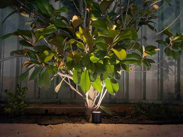 Luxury in the city gallery image 5