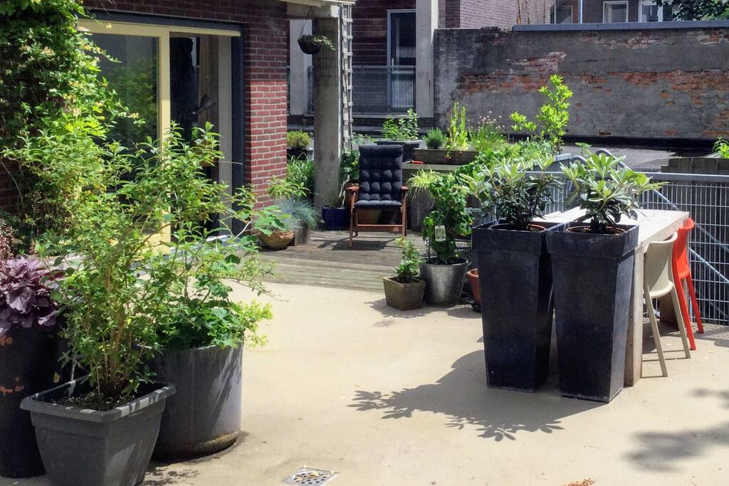 Sunny and green outdoor space