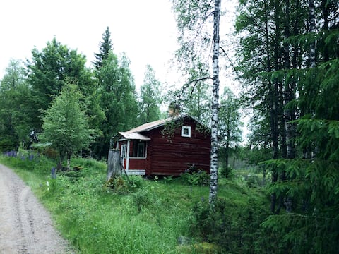 Successful Airbnb property: Small house in the depths of the forest in Malung Sälen