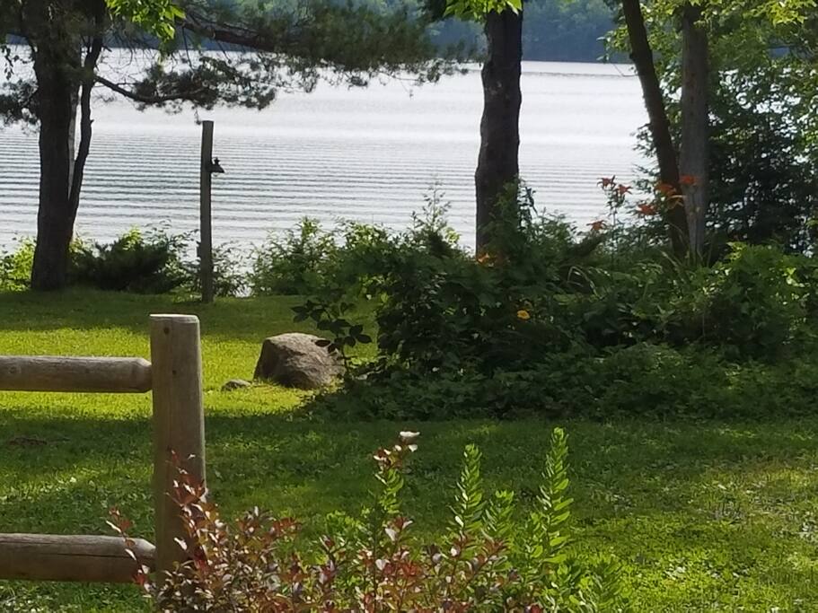 View from the front deck