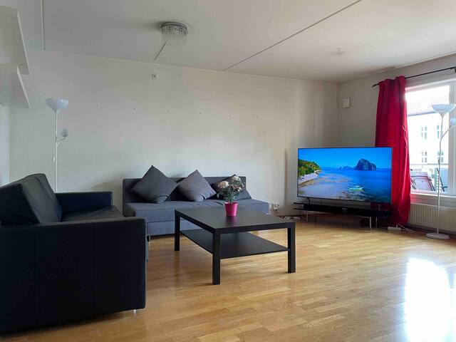 Oslo city/Color Apt/3Bedrms/2WC/750mt from Oslo S gallery image 2