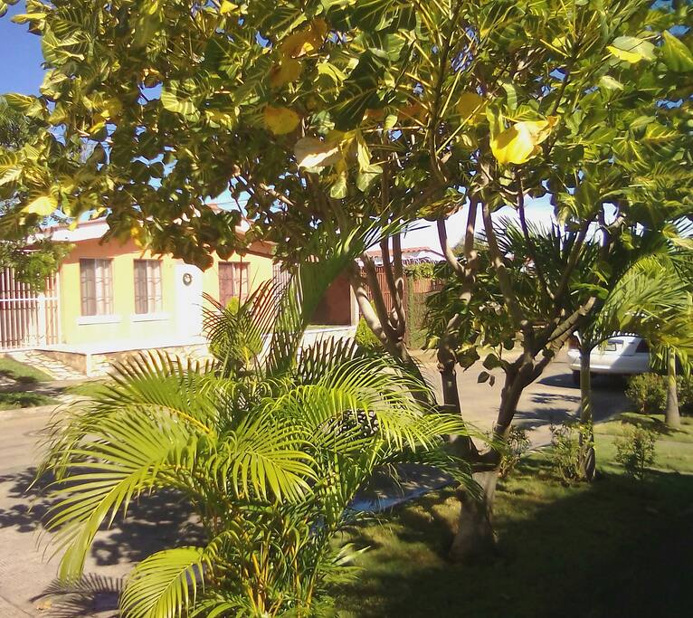 Jardín Frontal de la Casa