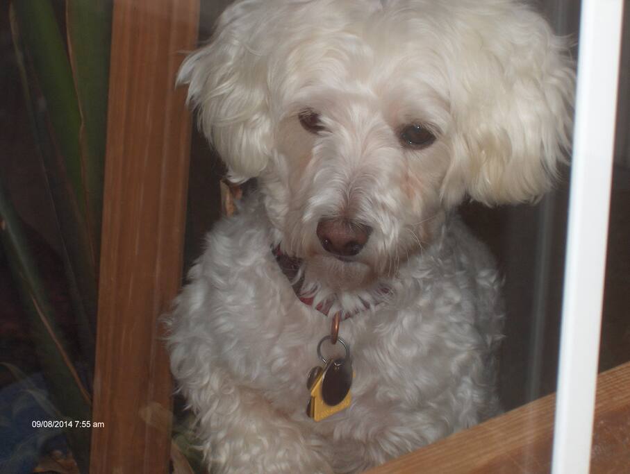 Are you coming in or will you just stand outside ?