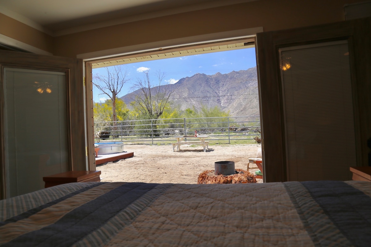 从其中一张床上欣赏美景……