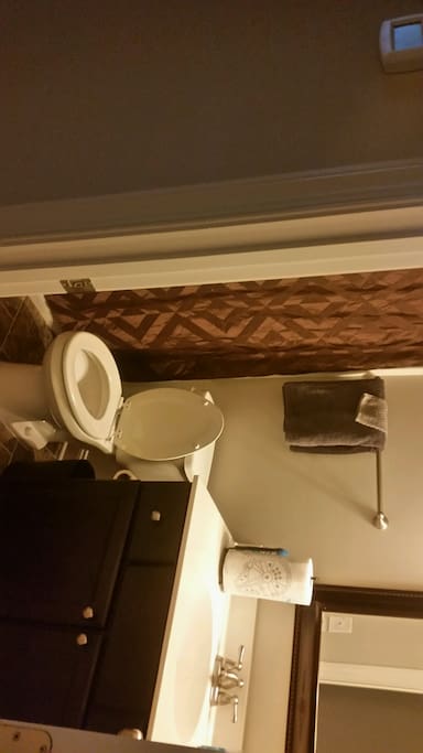 Guest bathroom