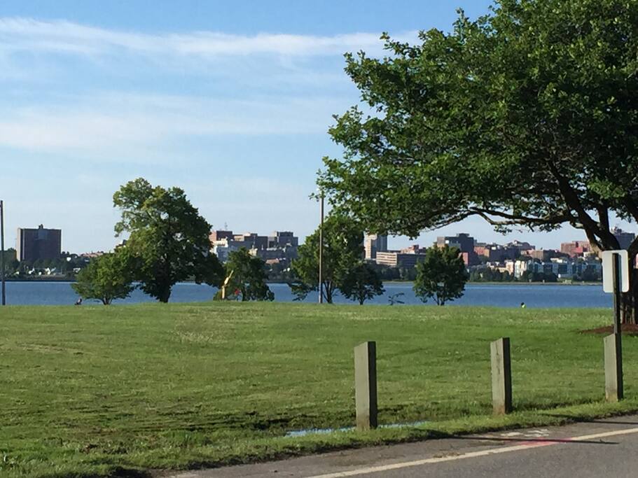 Views of the park, water and city skyline.