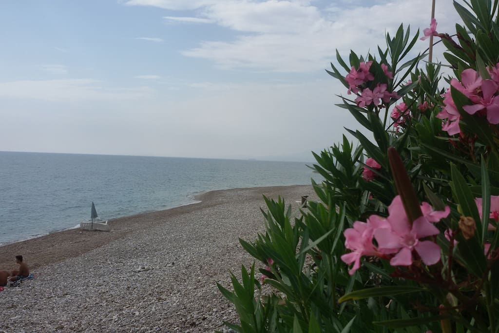 SPIAGGIA