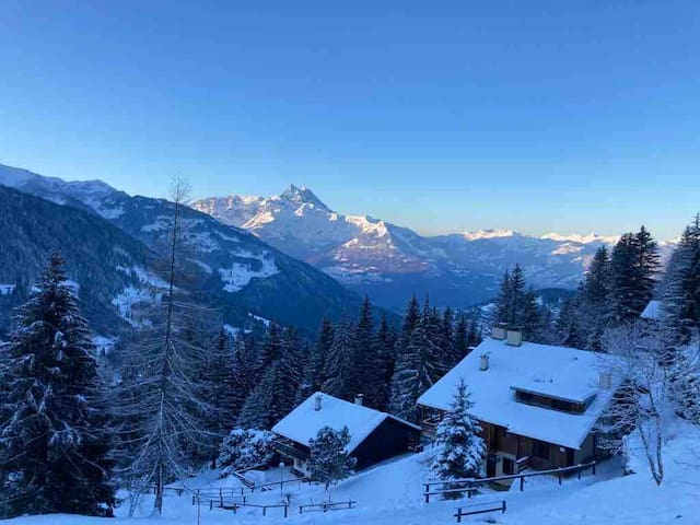 Chalet Apt Villars-Gryon, 2BdR, 2min from ski lift