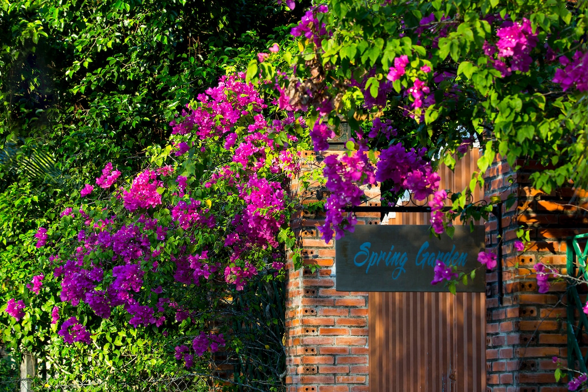 A vibrant entrance is adorned with blooming bougainvillea in shades of purple and green, welcoming guests. The rustic brick wall supports a sign reading 'Spring Garden,' nestled among lush foliage, inviting exploration of the surrounding natural beauty.