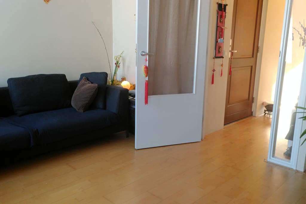 Entrance - hallway - living room