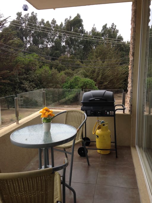 Parrilla en balcon