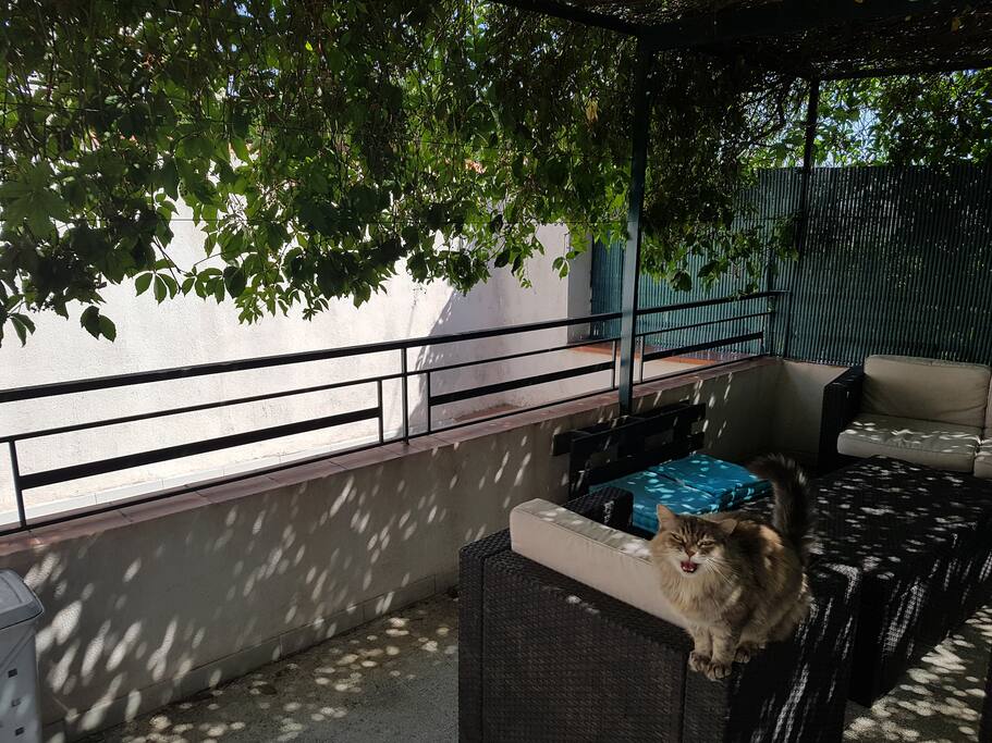 côté de la terrasse