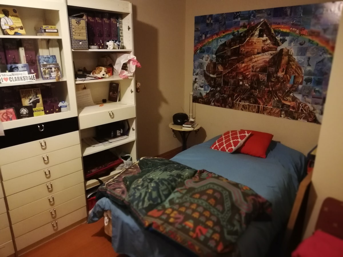 A cozy sleeping area features a spacious bed with a blue coverlet and colorful blankets. A vibrant wall mural adds visual interest. A bedside table holds a lamp, while a shelving unit provides storage, displaying various items and decor. Overall, the room offers a welcoming atmosphere.