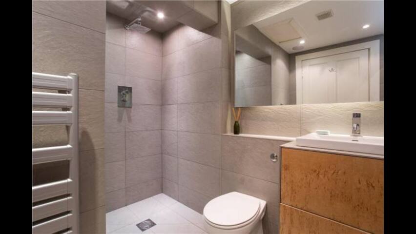 Luxury and spacious Georgian period apartment gallery image 4