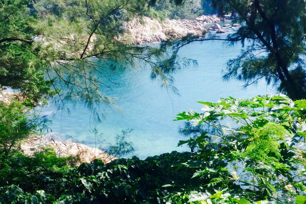 Amazing view of the rocky beach from the garden.