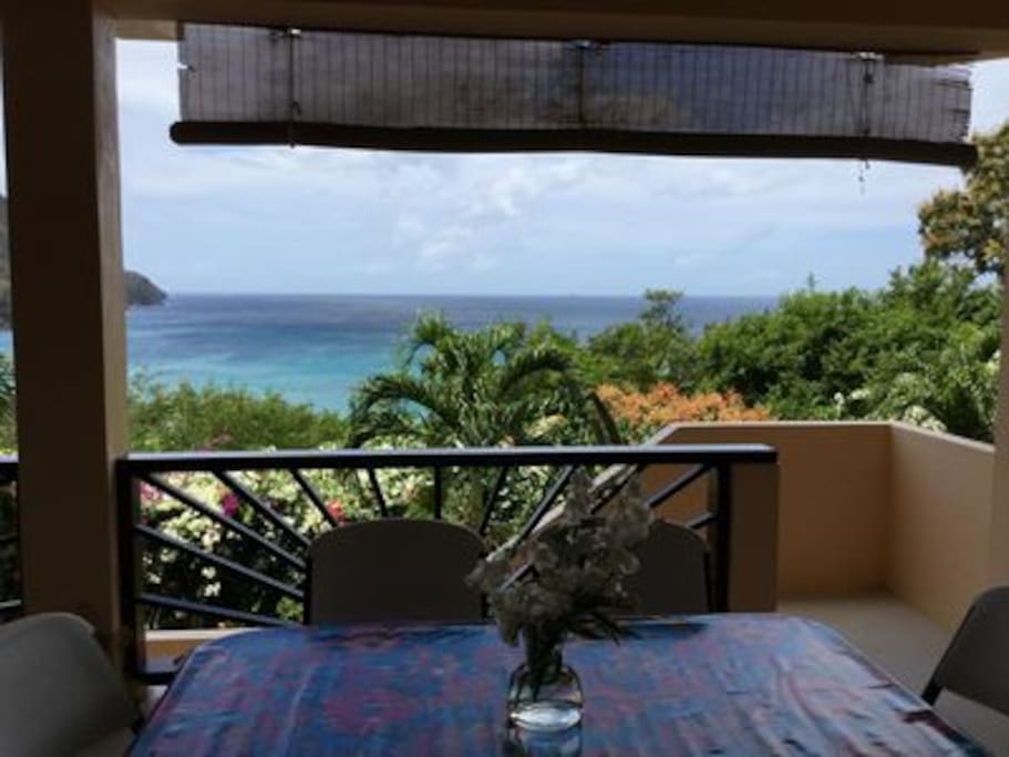 View while dining
