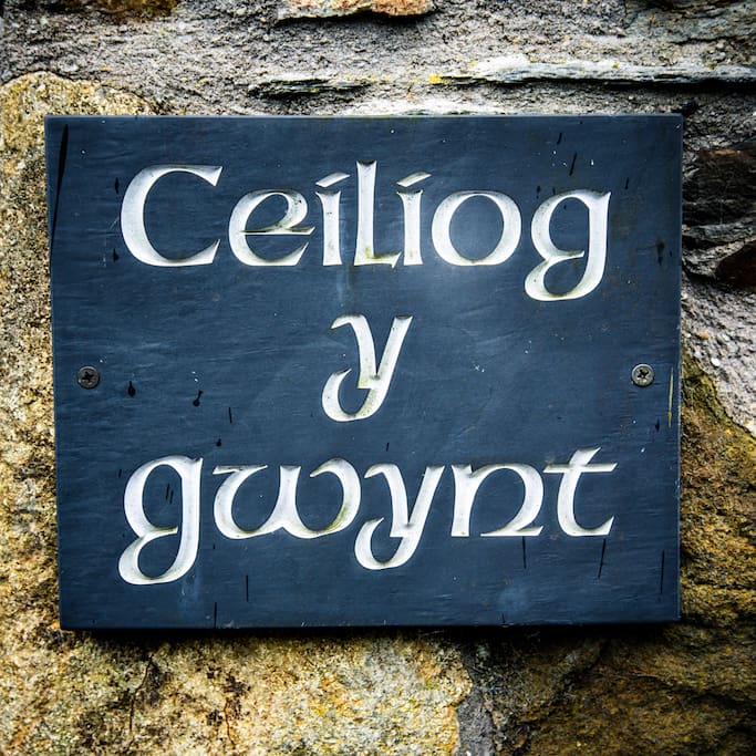 Ceiliog Y Gwynt Cottage