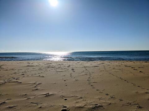 Private SANDY Lake Huron home 3 bed 3 bath home