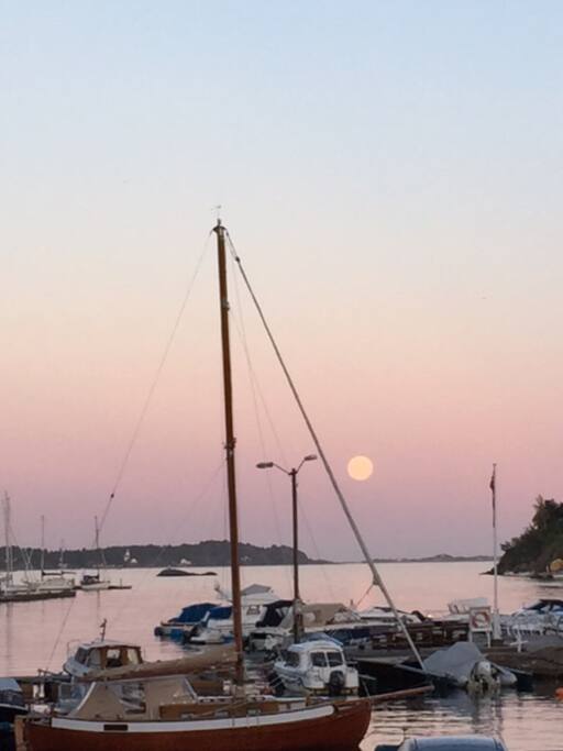 Utsikten fra terrassen