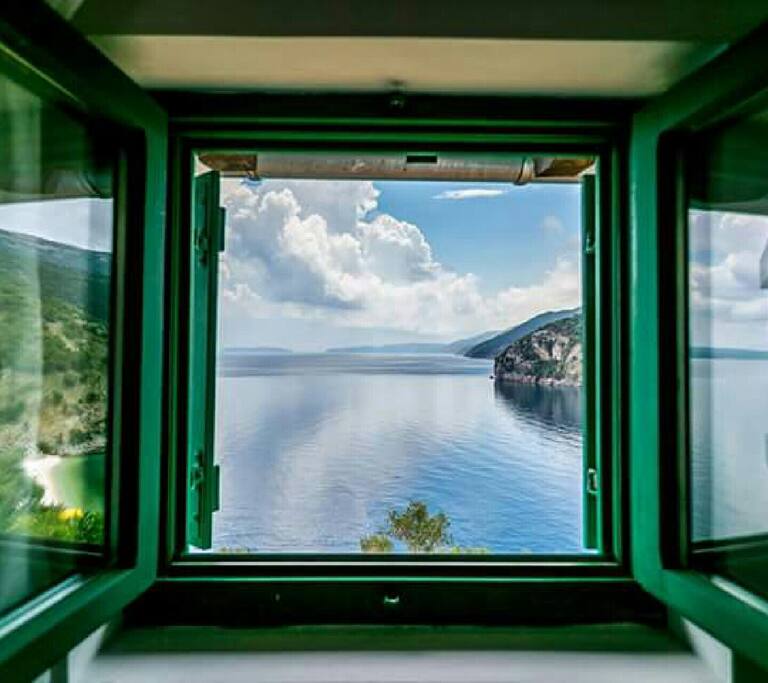 view