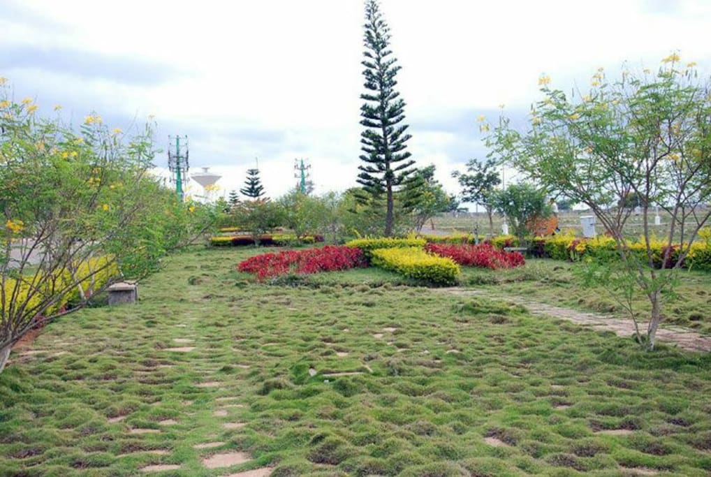 Garden