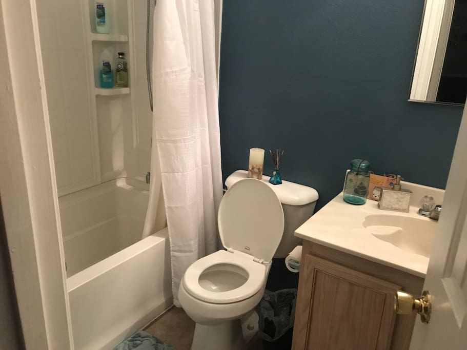 Guest bath