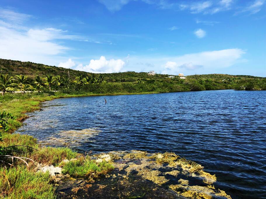Lake