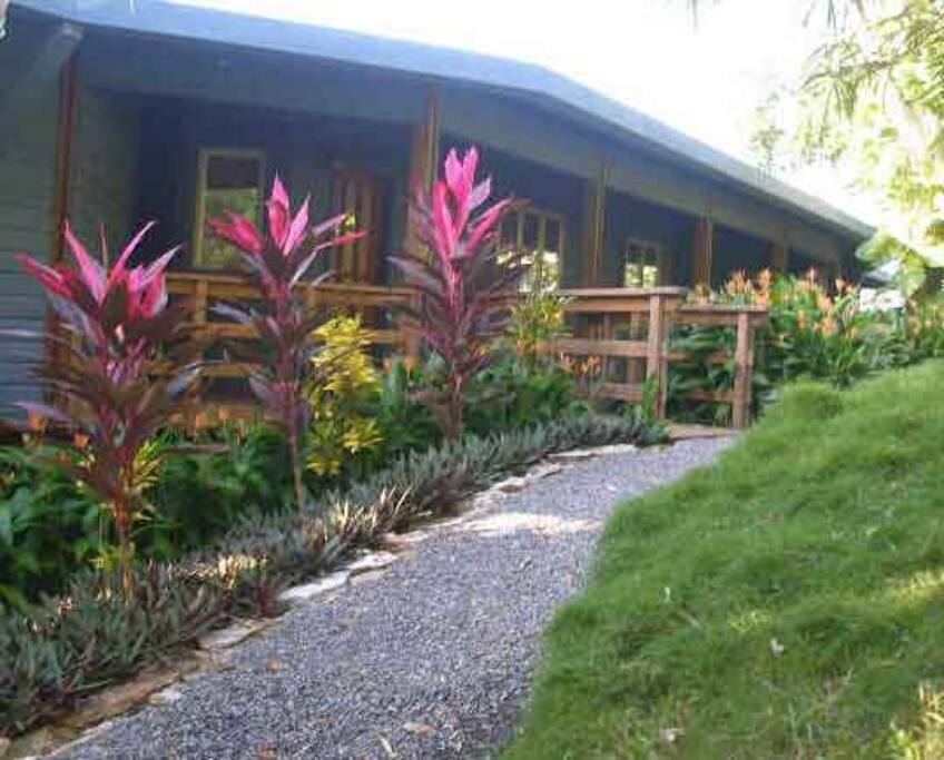 Back entrance Path