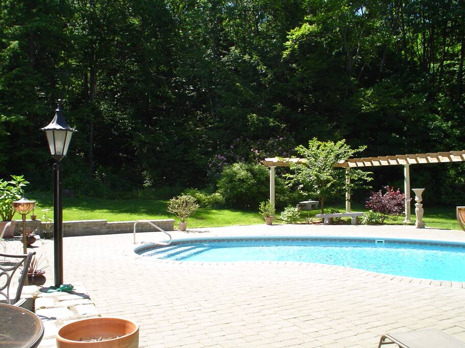 Backyard Pool