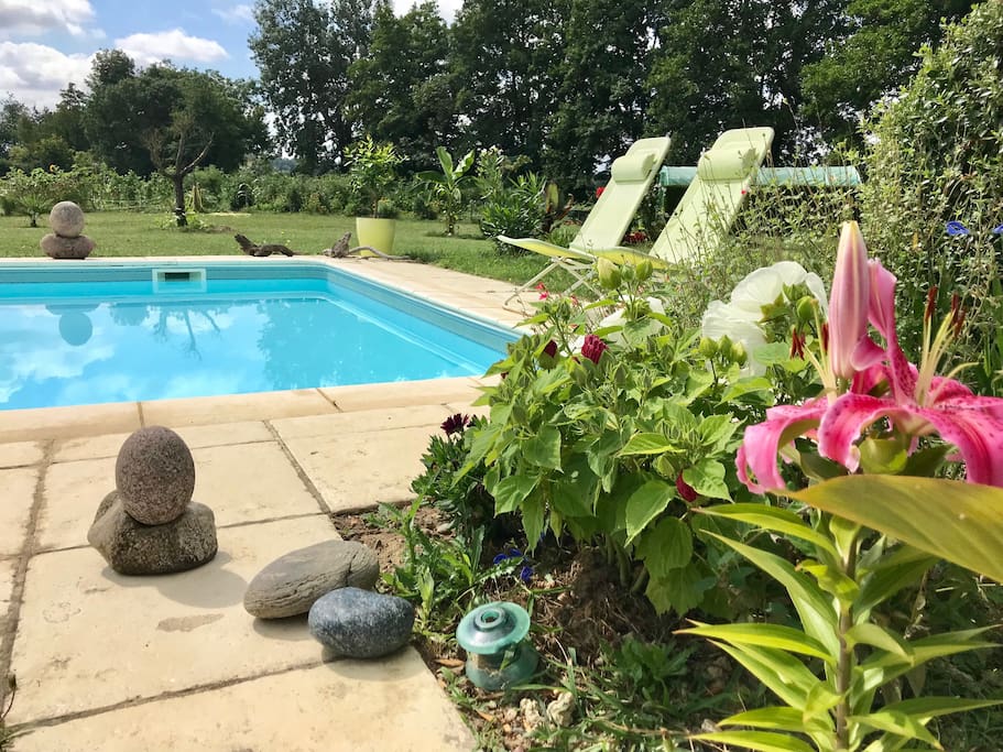 La piscine et le jardin