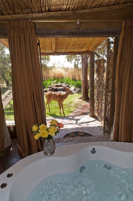 Jacuzzi Spa Bath with stunning views and the beautiful Delilah our tame Nyala.