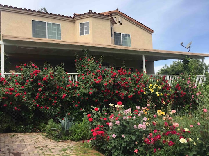 Canyon Lake Ca, Awesome Homeawayfromhome 30 Day+ - Lake Elsinore, CA