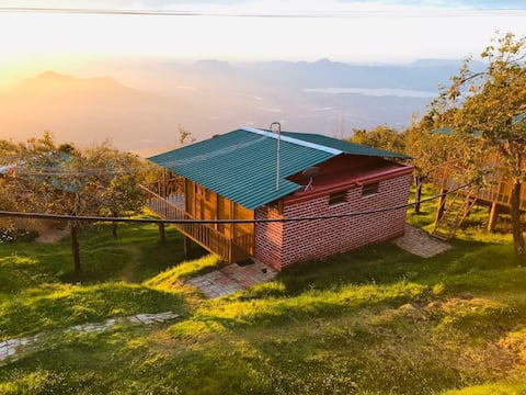 Cozy Cabin in green patches