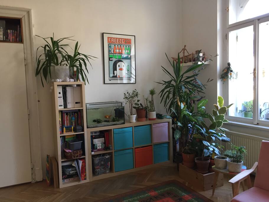 Kids corner and fish