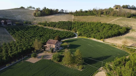 Ca d 'Tavia vineyard house
