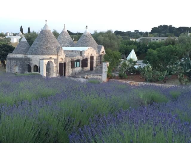 Trullo delle Lavande con piscina a Ostuni