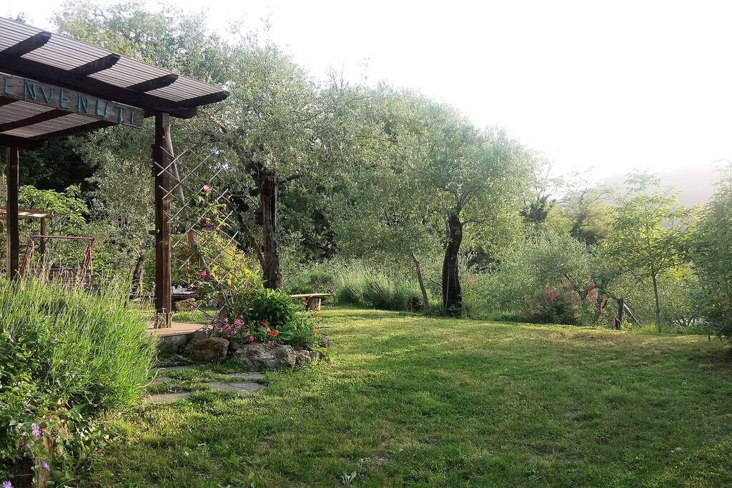 giardino / garden