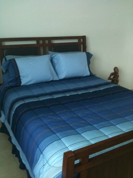Master bedrom with confortable bed.