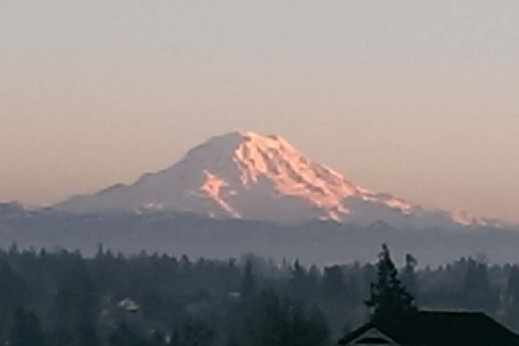 Majestic Mount Rainer