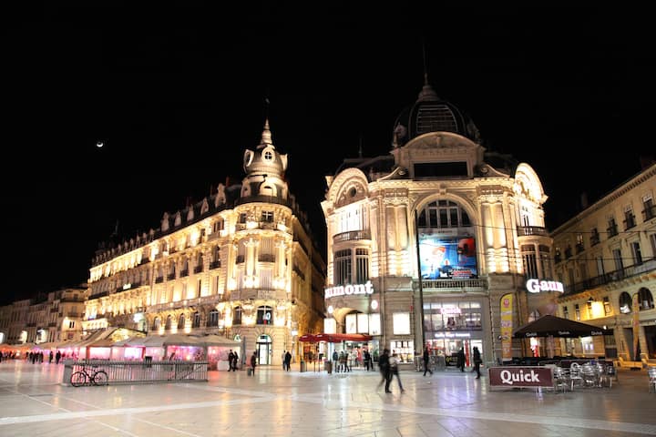 Cosy flat - Place de la Comédie