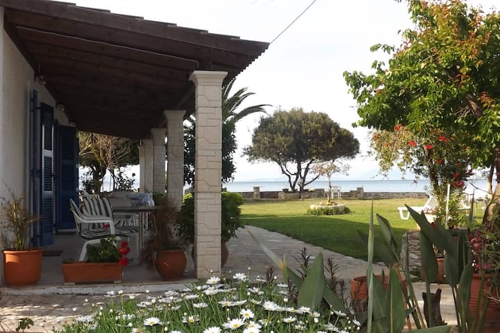 Image 1