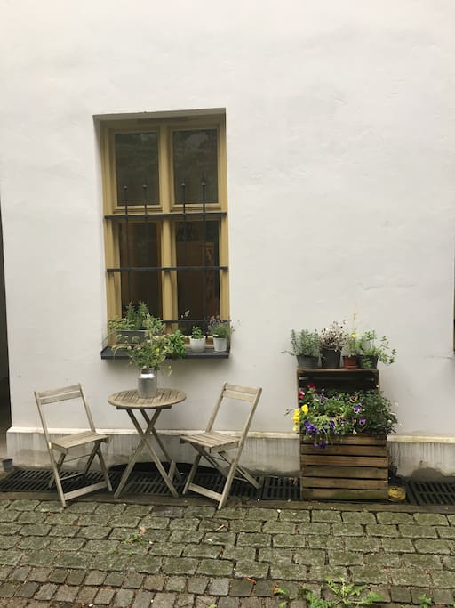 Backyard (outside kitchen)
