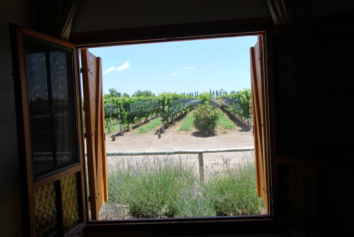 A pair of wooden windows is open, creating a framed view of the vineyard outside. Lush green grapevines stretch across the landscape under a clear blue sky, with a hint of flowering lavender visible in the foreground.