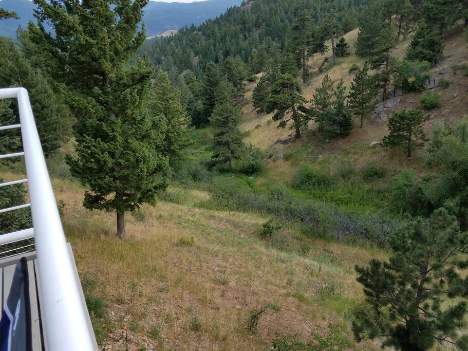 Stream runs thru view - great for spotting wildlife