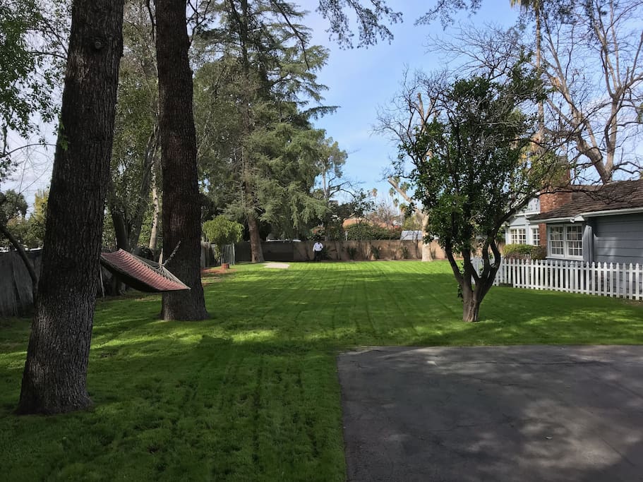 Back yard with a chilling spot