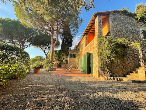 Il Poggetto - Elegant Villa With Amazing View